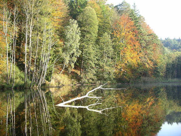 Ausgangsbild "Herbst"